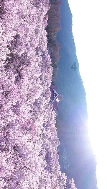 西安地铁8号线、10号线最新消息