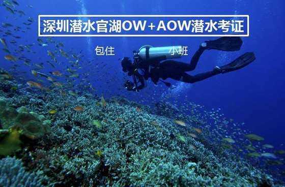 救援美丽小天使