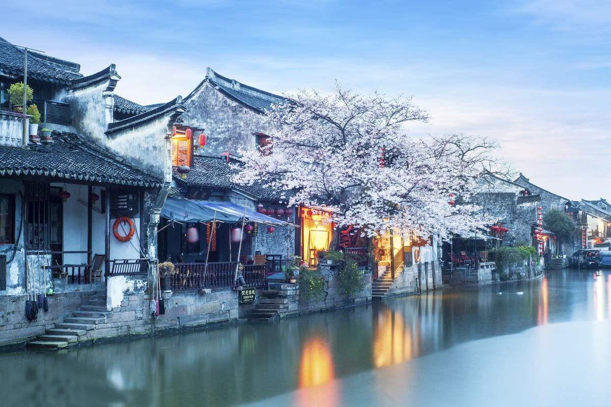 与其苟且偷生，毋宁高贵赴死！被司马昭刺死街头的曹髦是个什么人