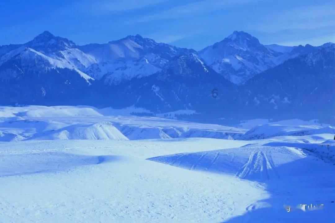 魔女坑爹，爸爸的噩梦之旅